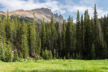 12 bin 506 Foot Nokhu Crags Kuzey Colorado 'daki Eyalet Ormanı Eyalet Parkı' ndaki çimenli çayırdan izlendi. Kamp, yürüyüş, bisiklete binmek, balık tutmak ve tırmanmak bu turistik gezide keyifli olabilir.. 