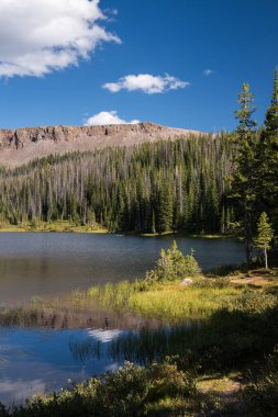 Zimmerman Gölü, Roosevelt Ulusal Fores Colorado 'daki Neota Wilderness yakınlarında yer almaktadır. Zimmerman Gölü 'nün yerli bir alabalık nüfusu var.. 