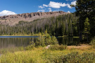 Zimmerman Gölü, Cameron Geçidi 'nin yanında, Colorado yerlisi Greenback Kesici Alabalık' ı yakalamak ve serbest bırakmak için güzel bir yürüyüş yapıyor..