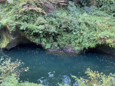 Japonya 'nın güzel nehri