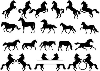 At silueti, at nalı, at nalı, at kafası, at aşığı, at kesim dosyası, hayvan, at kalbi.