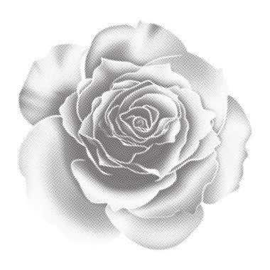 Yarım ton bitmap grunge nokta desen fotokopi efekti gül çiçeği