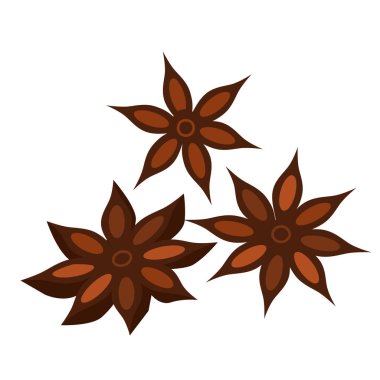 Üç yıldız anises. Vektör rengi izole edilmiş..