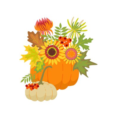Balkabaklı güz çiçeği kompozisyonu. Vektör izole renk illüstrasyonu