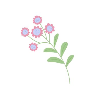 Pembe çiçekli ve yapraklı bitkinin izole edilmiş renk çizimi