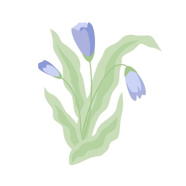 Bitkinin lavanta renkli çiçek ve yapraklarla izole edilmiş vektör çizimi.