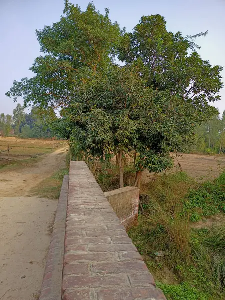 A view of the village of rural India with agricultural fields and trees from the brick bridge.