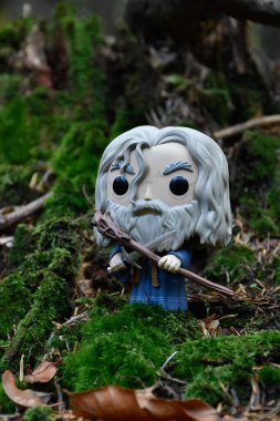 Büyücü Gandalf Gri Kılıç ve Yüzüklerin Efendisi adlı fantezi filminin asası. Muhteşem yoğun orman, yosun ağacı, sonbahar.