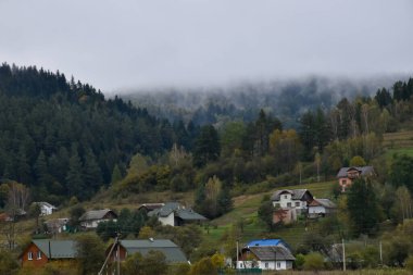 Karpat dağlarında küçük evler, kırsal yaşam. Derin çam ormanlarında kalın dağ sisi, bulutlu gün, atmosfer manzarası. 