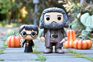 Funko Pop action figures of Harry Potter with owl and gamekeeper half-giant Hagrid with umbrella. Halloween, pumpkins, moss, autumn garden. clipart