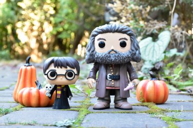 Funko Pop action figures of Harry Potter with owl and gamekeeper half-giant Hagrid with umbrella. Halloween, pumpkins, moss, autumn garden. clipart