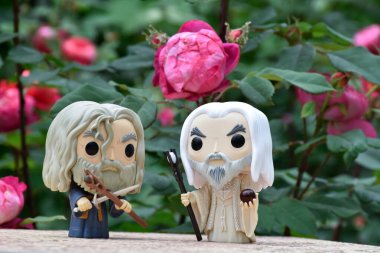 Büyücülerin aksiyon figürleri Gri Gandalf ve Yüzüklerin Efendisi 'ndeki Beyaz Saruman. Gizemli karamsar bahçe, kırmızı güller.