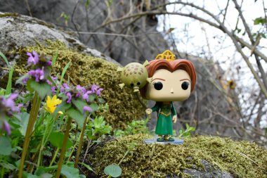 Popüler animasyon filmi Shrek 'ten Prenses Fiona' nın Funko Pop oyuncağı. Yosunlu kayalar, peri ormanı, yeşil çayırdaki yabani çiçekler.. 