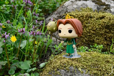 Popüler animasyon filmi Shrek 'ten Prenses Fiona' nın Funko Pop oyuncağı. Yosunlu kayalar, peri ormanı, yeşil çayırdaki yabani çiçekler.. 