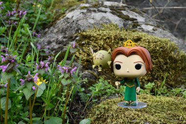 Popüler animasyon filmi Shrek 'ten Prenses Fiona' nın Funko Pop oyuncağı. Yosunlu kayalar, peri ormanı, yeşil çayırdaki yabani çiçekler.. 