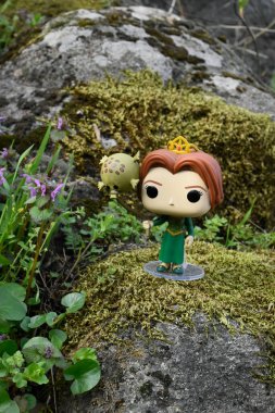 Popüler animasyon filmi Shrek 'ten Prenses Fiona' nın Funko Pop oyuncağı. Yosunlu kayalar, peri ormanı, yeşil çayırdaki yabani çiçekler.. 
