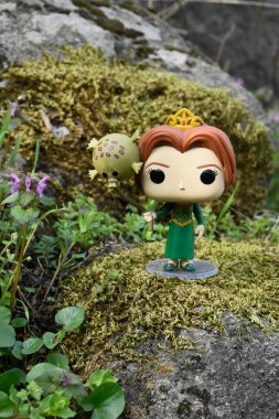 Popüler animasyon filmi Shrek 'ten Prenses Fiona' nın Funko Pop oyuncağı. Yosunlu kayalar, peri ormanı, yeşil çayırdaki yabani çiçekler.. 