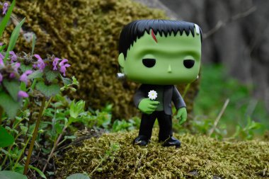 Frankeştayn 'ın canavarının klasik korku filmindeki papatya çiçekli aksiyon figürü. Yosunlu kayalar, yeşil orman çayırındaki yabani çiçekler..  