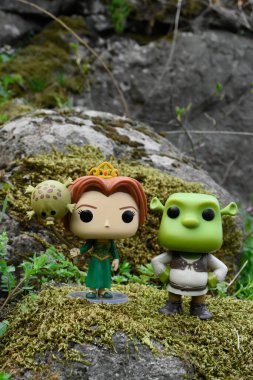 Popüler animasyon filmlerinden Prenses Fiona ve Ogre Shrek 'in aksiyon figürleri. Yosunlu kayalar, peri ormanı, yeşil çayırdaki yabani çiçekler..