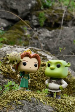 Popüler animasyon filmlerinden Prenses Fiona ve Ogre Shrek 'in aksiyon figürleri. Yosunlu kayalar, peri ormanı, yeşil çayırdaki yabani çiçekler..