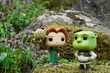 Popüler animasyon filmlerinden Prenses Fiona ve Ogre Shrek 'in aksiyon figürleri. Yosunlu kayalar, peri ormanı, yeşil çayırdaki yabani çiçekler..