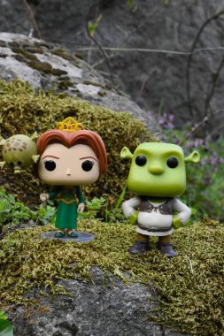 Popüler animasyon filmlerinden Prenses Fiona ve Ogre Shrek 'in aksiyon figürleri. Yosunlu kayalar, peri ormanı, yeşil çayırdaki yabani çiçekler..