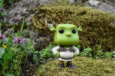 Popüler animasyon filmlerinden Ogre Shrek 'in aksiyon figürü. Yosunlu kayalar, muhteşem yoğun orman, yeşil çayırdaki yabani çiçekler.. 