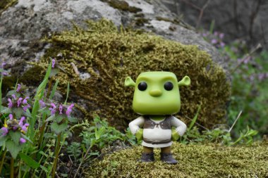 Popüler animasyon filmlerinden Ogre Shrek 'in aksiyon figürü. Yosunlu kayalar, muhteşem yoğun orman, yeşil çayırdaki yabani çiçekler.. 