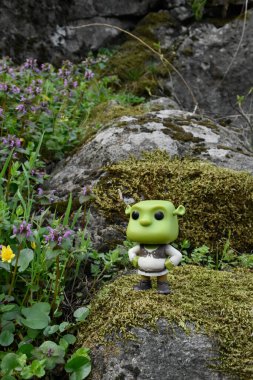 Popüler animasyon filmlerinden Ogre Shrek 'in aksiyon figürü. Yosunlu kayalar, muhteşem yoğun orman, yeşil çayırdaki yabani çiçekler.. 