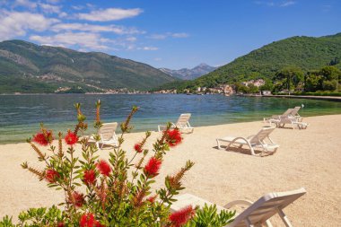 Güneşli sahil tatili. Güzel Akdeniz manzarası. Karadağ, Tivat kenti yakınlarındaki Kotor Körfezi