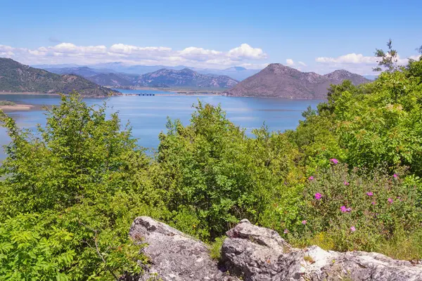 Güzel yaz manzarası. Karadağ, Skadar Gölü Ulusal Parkı manzarası ve Karst Gölü Skadar kıyı şeridi