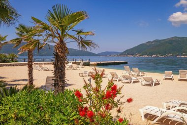 Güzel bir yaz Akdeniz manzarası. Güneşli sahil tatili. Karadağ, Adriyatik Denizi. Tivat kenti yakınlarındaki Kotor Körfezi manzarası