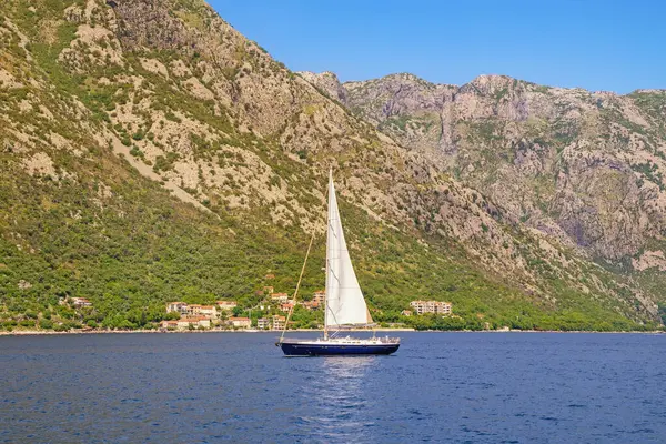 Güzel güneşli Akdeniz manzarası. Suyun üstünde beyaz yelkenli. Tatiller ve eğlence konsepti. Karadağ, Adriyatik Denizi, Kotor Körfezi