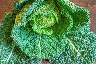 Lahana kafa. Kırış kırış, kırış yeşil yapraklı lahana.