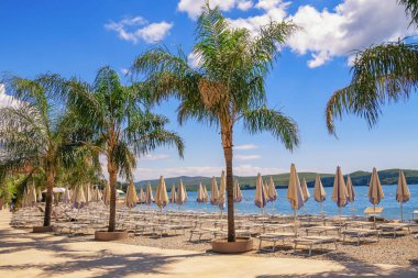 Yaz tatili. Güneşli Akdeniz manzarası. Karadağ, Kotor Körfezi. Tivat 'ta şezlongları ve plaj şemsiyeleri olan bir sahil. Tilki kuyruğu palmiye ağaçları, Wodyetia bifurcata