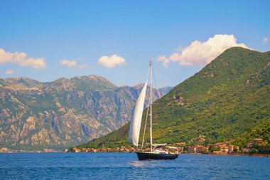 Güzel güneşli Akdeniz manzarası. Karadağ, Kotor Körfezi. Suyun üstünde beyaz yelkenli. Eğlence, spor kavramları.