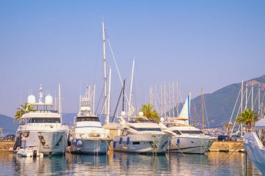 Tivat, Karadağ - Temmuz 06 2025: Karadağ, Adriyatik Denizi, Kotor Körfezi. Tivat kentindeki Porto Montenegro marinasında yatlar