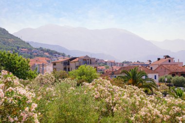 Güzel Akdeniz manzarası. Karadağ, Tivat şehrinin güneşli yaz günü manzarası. Çiçekli zakkum ağacı, Neryum zakkum