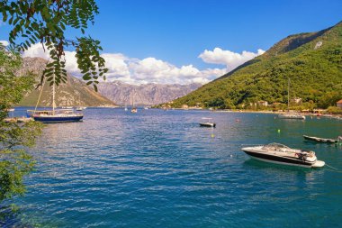 Güzel bir yaz Akdeniz manzarası. Karadağ, Adriyatik Denizi. Morinj kasabası yakınlarındaki Kotor Körfezi manzarası