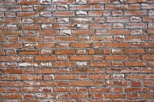 Background Old Wall Red Bricks Presence Saltpeter Surface Bricks — Stock Photo, Image