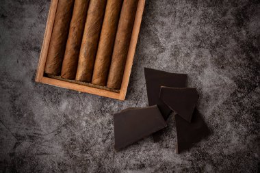 Puro ve çikolata parçalarının en üst düzey ayrıntıları. koyu arkaplan