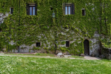 Sarmaşık yapraklarıyla kaplı antik İtalyan evi cephesi