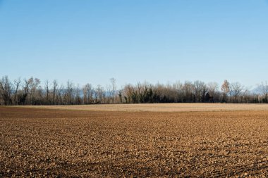 sürülmüş alana Ekim için hazır
