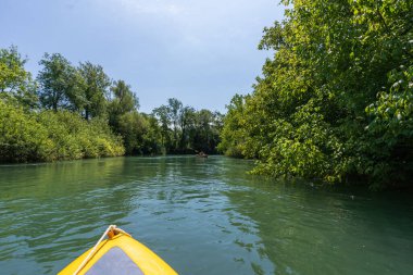 İtalya, Friuli Venezia Giulia 'daki Stella Nehri' nin kanosundan görüntüler.