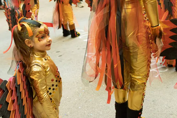 İspanya 'daki karnaval, Torrevieja şehri, 12 Şubat 2023, insanlar karnavalda yürüyor. Yüksek kalite fotoğraf