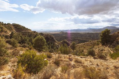 Dağda sarı bir taşın olduğu taş bir duvar yeşil çimenler büyütür. Yazı için yeri olan bir manzara. Yüksek kalite fotoğraf