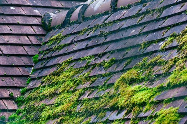Střecha Zblízka Hnědá Střeše Zelený Mech Kvalitní Fotografie — Stock fotografie