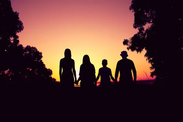 Silhouette Una Famiglia Che Comprende Padre Madre Due Figli Tutti — Foto Stock