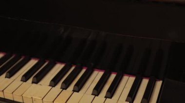 Piyano tuşları, yakın plan dikişsiz döngü. Klasik müzikal, konser gösterisi, müzik eğitimi veya okul için resim, şarkı girişi veya müzik tiyatrosu orkestrası performansı. Yüksek kalite 4k görüntü