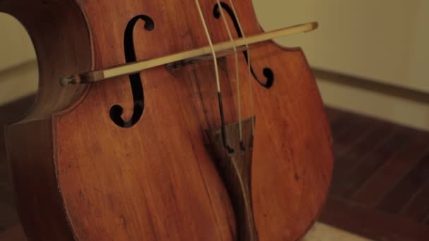 Close Double Bass Bow Indoors Day High Quality Footage — Stock Video